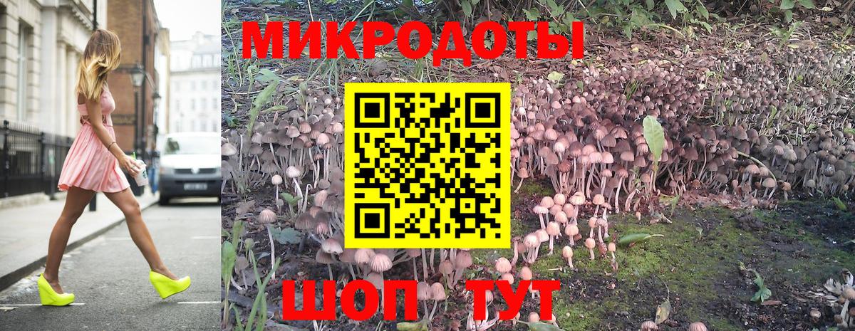 Псилоцибиновые грибы Psilocybine cubensis Каспийск